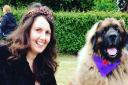 Lisa with a Leonberger who she met at the Royal Veterinary College dog show. This was held  in association with their charity the RVC Animal Care Trust, which on the day raised awareness and celebrated the amazing cats and dogs who donate blood for operat