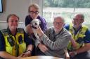 RAPPAW dog Doris at Cuffley day care centre