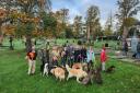 Dog owners in Paddington Old Cemetery say stringent rules for dogs will harm the surroundings