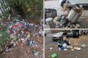 Pictures of rubbish sent by Dirty Dagenham members