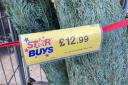 Home Bargains has real Christmas trees in stock for £12.99