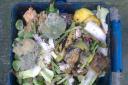 Havering Council is planning to bring in a weekly food waste collection service next year