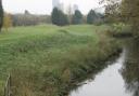 The River Roding near Ilford golf course, with Pioneer Point in the background. Picture posted to iwitness24 byTony Barclay