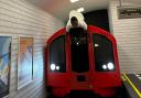 I got to ride on the roof of a London Underground train at London Paradox Museum