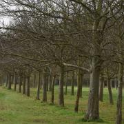 Historic restrictions on cycling in Wanstead Park have been relaxed.