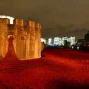 This picture was taken yesterday night. Thousands of People are visiting daily to see the great work of Art of Ceramic Poppy Field at the tower of London.The Scenes during the day and night are different. So it is better to see during the day and the