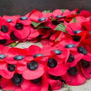 Poppies for Remembrance Day aren't just red - here are the other colours you can wear and what they stand for