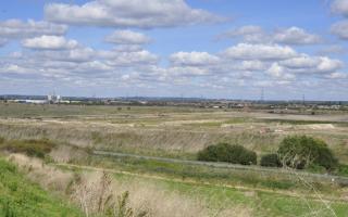 This Saturday offers a chance for children to learn about some of the 150 species of birds living in Rainham Marshes